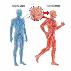 Running as a Physical Activity