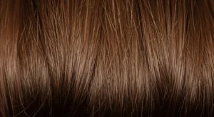 Antioxidant Rich Support and Its Influence on Hair Quality