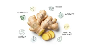 Nutrients and Compounds in Ginger That May Support Hair